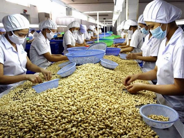 Bàn đạp để nông sản Việt xuất khẩu qua nhiều nước