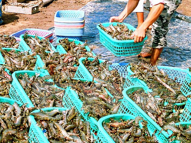 Thông qua Luật Quy hoạch: Kỳ vọng “cởi trói” nguồn lực đầu tư