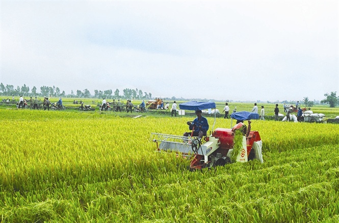 Xu thế phát triển HTX trên thế giới và những vấn đề đặt ra cho Việt Nam
