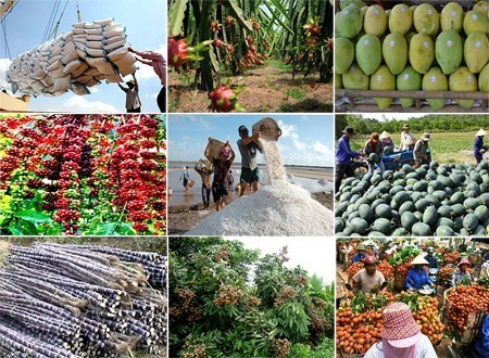 Xuất khẩu nông, lâm, thủy sản đặt mục tiêu 38 tỷ USD trong 2018