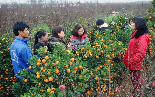 8 làng nghề được công nhận danh hiệu 'Làng nghề' Hà Nội năm 2017