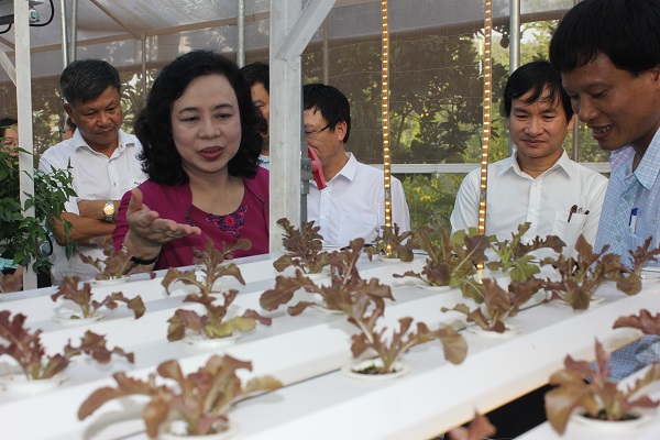 Nông nghiệp công nghệ cao năm 2017 tại Hà Nội: Một năm thành công