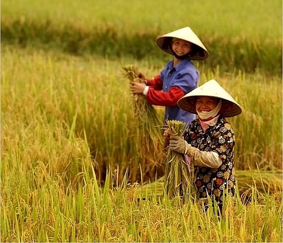 Hơn 100 mô hình ứng dụng công nghệ cao áp dụng vào sản xuất