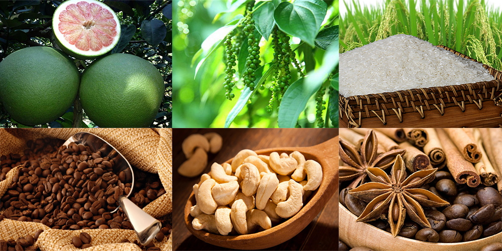 Cơ hội và thách thức cho hàng nông sản Việt Nam trong chuỗi giá trị toàn cầu