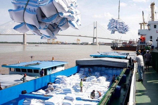 Việt Nam trúng thầu 141.000 tấn gạo xuất khẩu sang Indonesia