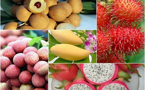 Xuất khẩu nông lâm thủy sản 2 tháng đầu năm mang về 6,1 tỷ USD