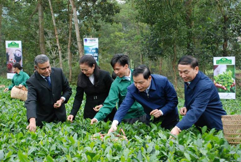 Từng bước đưa chè Thái Nguyên vươn xa trên thị trường thế giới