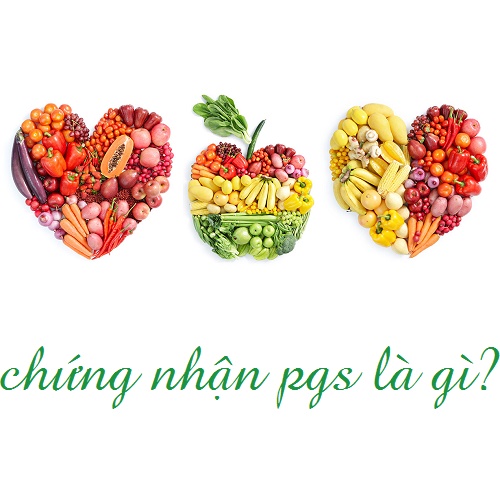 Chứng nhận PGS là gì?