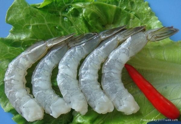 Xuất khẩu tôm, cá tra sang Anh còn nhiều tiềm năng