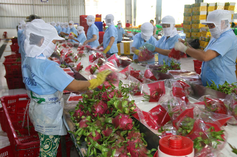 Hướng đi mới cho trái cây Việt Nam