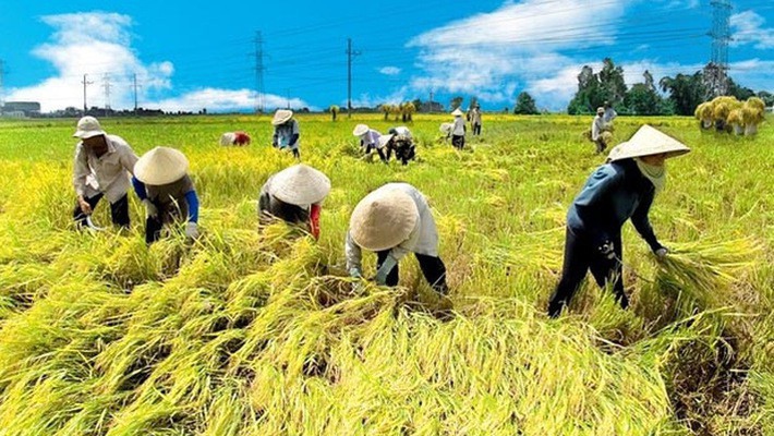 Hàng loạt ưu đãi cho doanh nghiệp đầu tư vào nông nghiệp