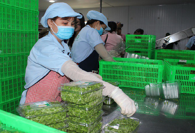 Ban hành kế hoạch triển khai “Tháng hành động vì an toàn thực phẩm” năm 2018