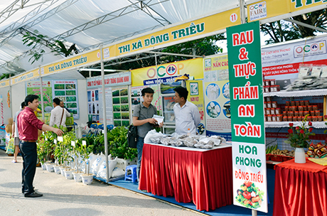 Phê duyệt Chương trình mỗi xã một sản phẩm giai đoạn 2018-2020