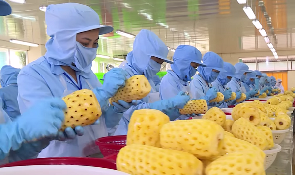 Thực trạng về nhận diện thương hiệu hàng thực phẩm Việt Nam tại thị trường Thụy Điển