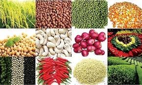 4 tháng năm 2018, xuất khẩu nông sản tăng 11,9% so với cùng kỳ năm 2017
