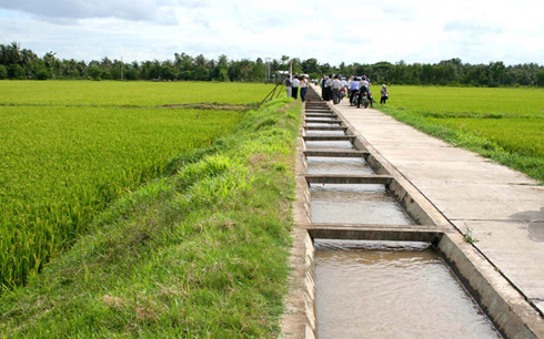 Thủ tướng ban hành tiêu chí xã nông thôn mới kiểu mẫu