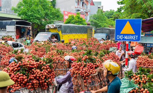  Liên kết lỏng lẻo và khó tiếp cận hỗ trợ