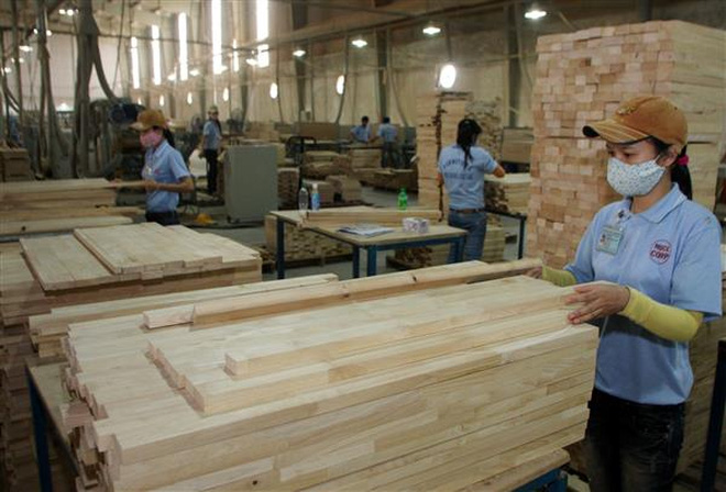 Đa dạng nguyên liệu gỗ cho xuất khẩu