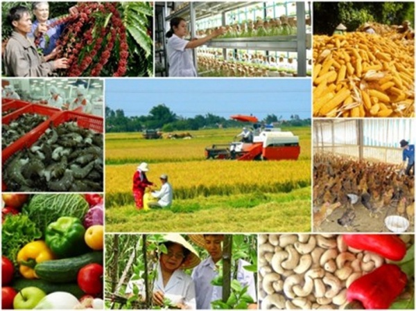 Bản tin về thị trường nông, lâm, thủy sản (ngày 30/06/2018)