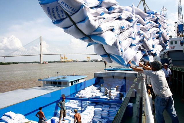 Kim ngạch xuất khẩu gạo 7 tháng đầu năm tăng trên 30%