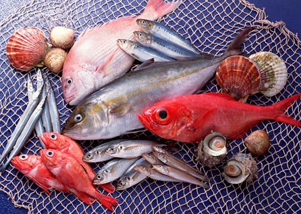 Kim ngạch nhập khẩu thủy sản tăng mạnh gần 31% so với cùng kỳ