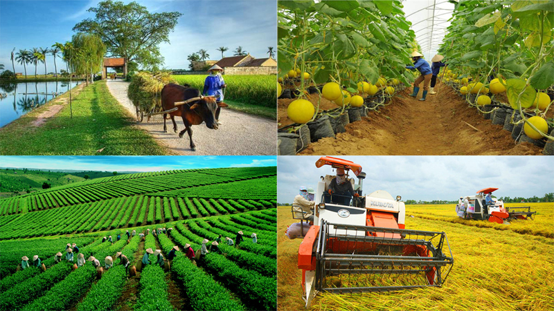 Chương trình OCOP -  giải pháp phát triển kinh tế nông thôn và xây dựng nông thôn mới hiệu quả