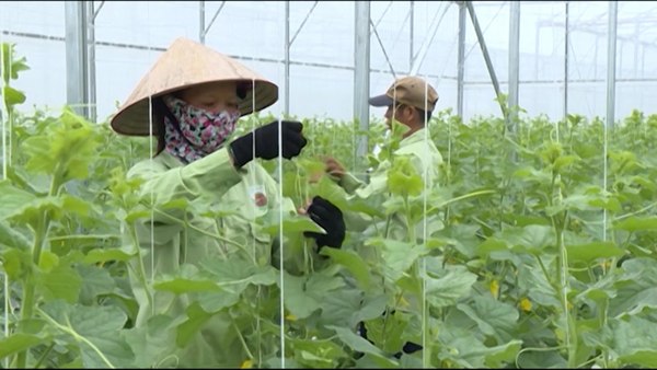Sửa một số quy định về điều kiện đầu tư, kinh doanh lĩnh vực nông nghiệp