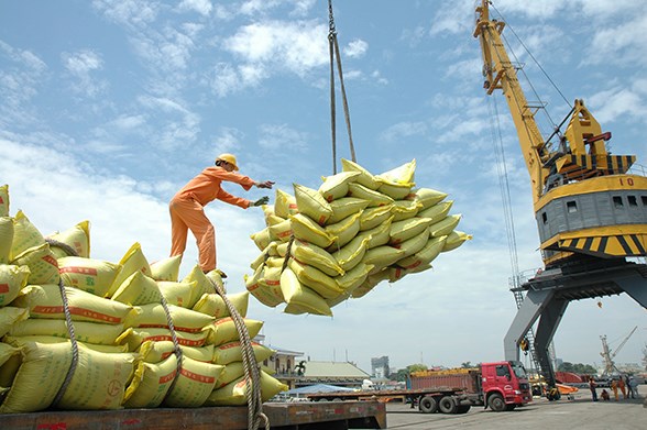 Hội nghị gạo thế giới lần thứ 10 và Hội nghị gạo quốc tế Việt Nam năm 2018