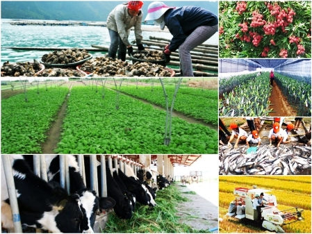 Chuẩn bị tổ chức Hội nghị trực tuyến toàn quốc về nông nghiệp, nông dân, nông thôn