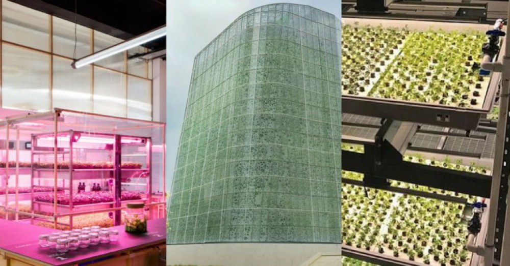 11 mô hình nông nghiệp đột phá trong 10 năm qua (phần 1)
