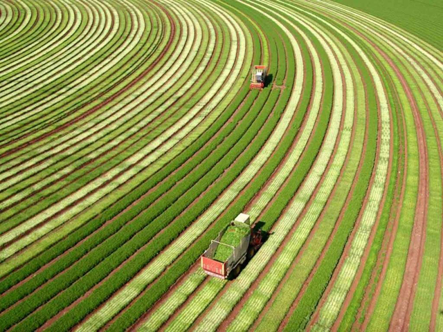 Triển lãm Sáng tạo nông nghiệp công nghệ cao Isarel