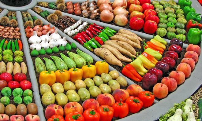 Việt Nam đứng thứ 15 thế giới về kim ngạch xuất khẩu nông sản