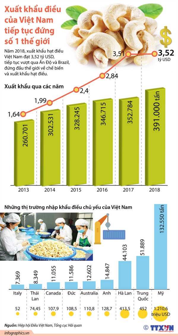 [Infographic] Xuất khẩu hạt điều của Việt Nam tiếp tục đứng số 1 thế giới