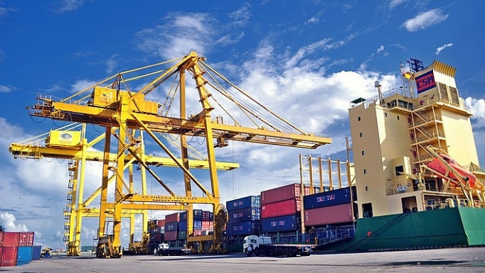 Quy mô và thị trường xuất khẩu ngày càng được mở rộng