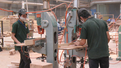 Triển vọng phát triển ngành chế biến gỗ lâm sản phát triển nhanh và bền vững