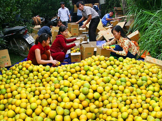 Xuất nhập khẩu: Bước tiến vượt bậc