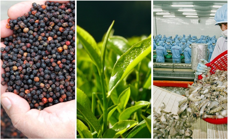Bản tin về thị trường nông, lâm, thủy sản - Số 3