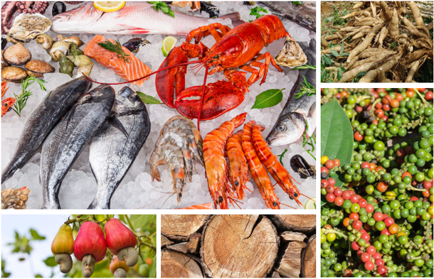 Bản tin về thị trường nông, lâm, thủy sản - Số 6
