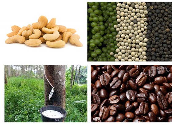 Bản tin về thị trường nông, lâm, thủy sản - Số 4