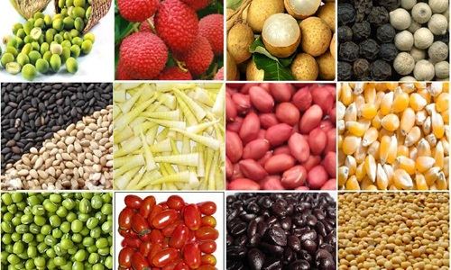 Bản tin về thị trường nông, lâm, thủy sản - Số 2