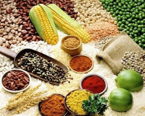  Dự báo xuất khẩu tôm sang EU và Hoa Kỳ sẽ thuận lợi.