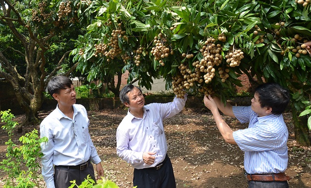 Nông sản Việt chinh phục thị trường Mỹ
