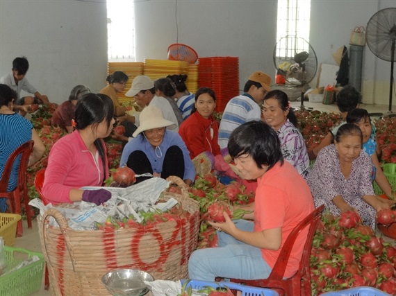 Tăng trưởng trái chiều về nhập khẩu 9 loại trái cây Việt Nam vào Trung Quốc