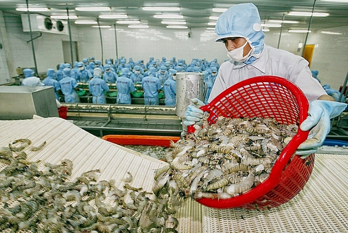 Xuất khẩu tôm sang Trung Quốc tăng mạnh nhất trong 5 năm qua