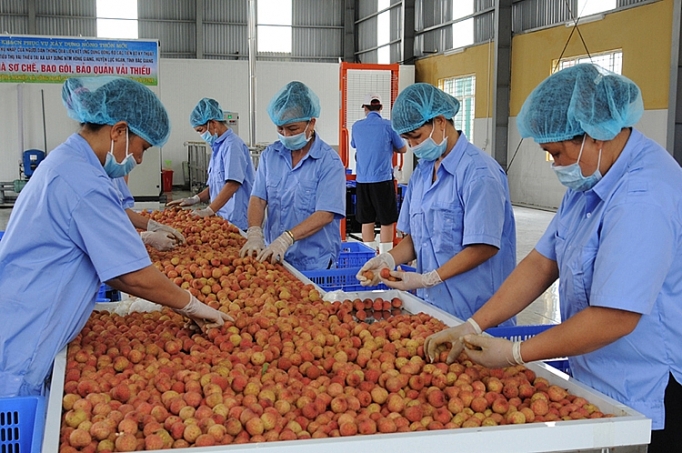 Ngành nông, lâm, thủy sản: Tìm cơ hội mới