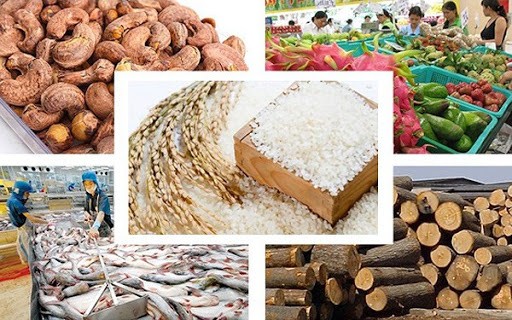Doanh nghiệp tại Khu tự trị dân tộc Choang, Quảng Tây, Trung Quốc có nhu cầu nhập khẩu nông sản, thực phẩm từ Việt Nam