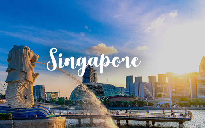 Quy định về nhập khẩu hàng hóa, hàng cấm và hạn chế nhập khẩu, mức thuế của Singapore