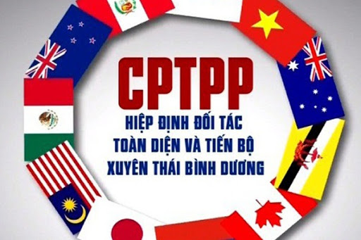 Hội nghị Tập huấn chuyên sâu về cam kết trong Hiệp định đối tác toàn diện và tiến bộ xuyên Thái Bình Dương (CPTPP)