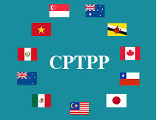 Vai trò điều phối của Bộ Công Thương trong việc triển khai thực hiện CPTPP để đạt được kết quả sau 1 năm thực thi