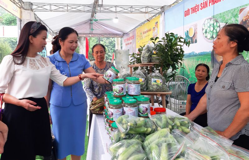 Chuẩn bị tổ chức quảng bá, giới thiệu sản phẩm OCOP tại các tuyến phố đi bộ ở Hà Nội 